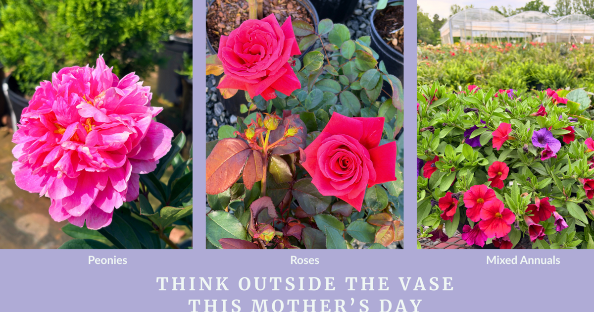 Rethinking Traditional Floral Arrangements: Innovative Ideas for Mother's Day