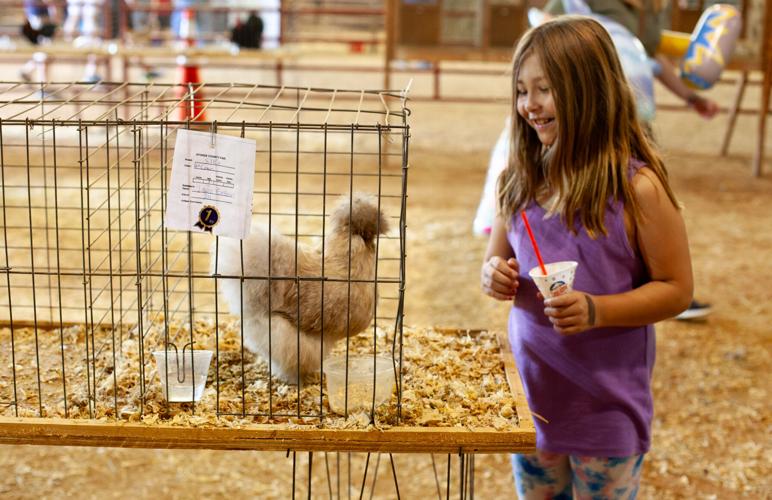 Record breaking county fair continues to delight News