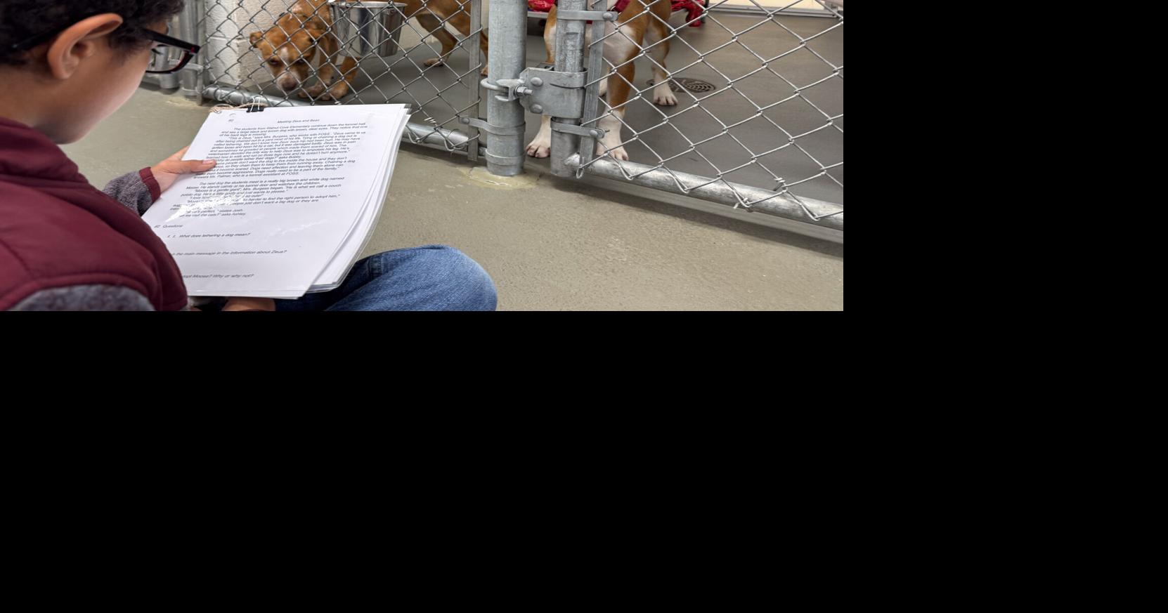 'One paw at a time,' adoption center launches outreach program ...