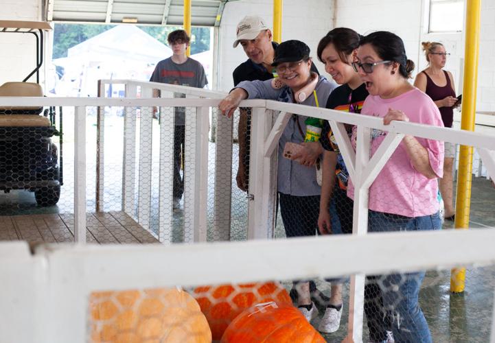 Record breaking county fair continues to delight News