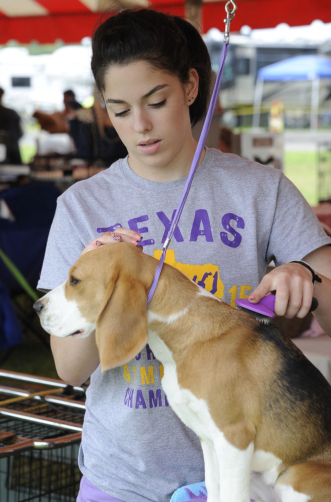 Dog Show in Wrentham Gallery