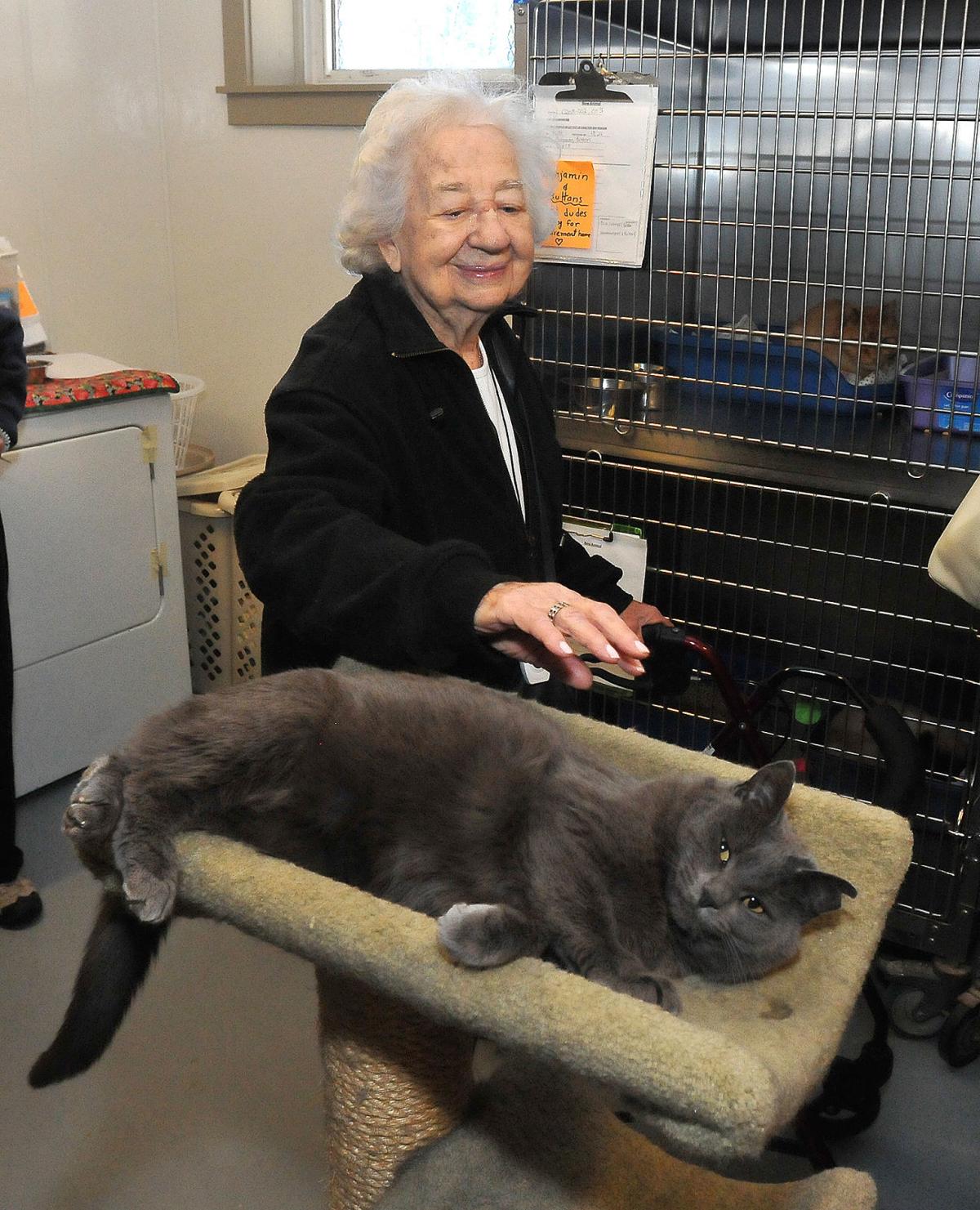 North Attleboro Animal Shelter And Senior Living Home