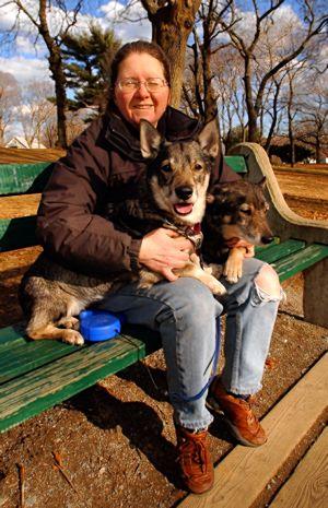 are swedish vallhunds related to moose