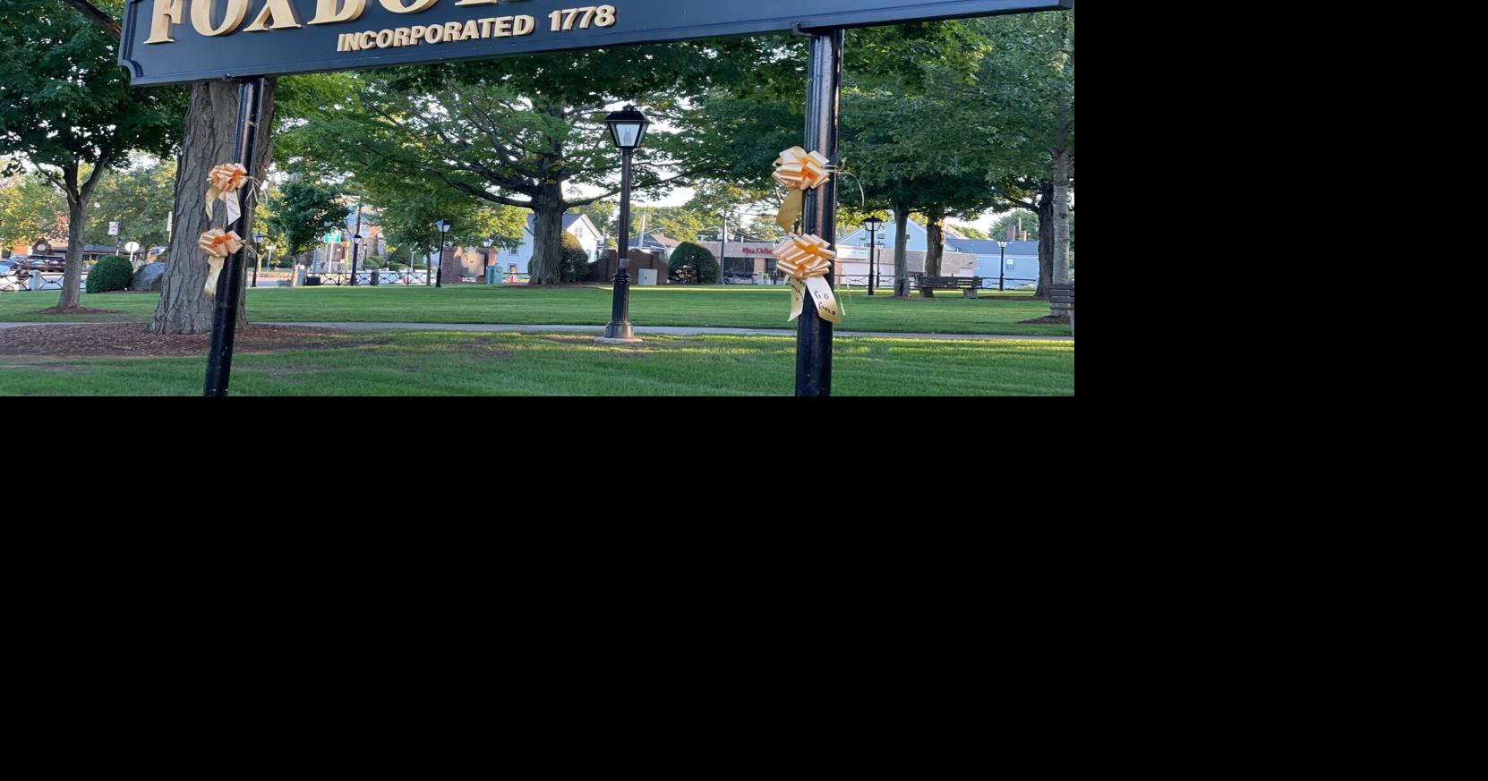 Foxboro looks to donations for new benches on town common Local News