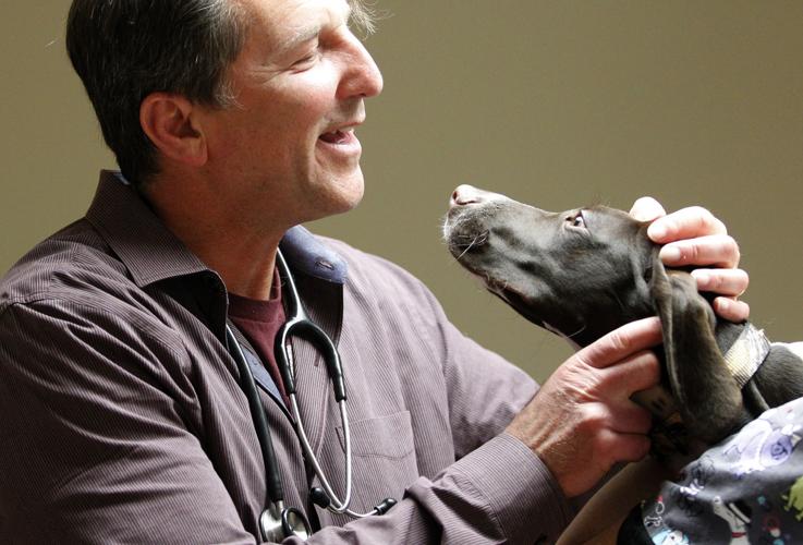Taking their licks: Local veterinarians say the job has its ups and downs | Local News Taking their licks: Local veterinarians say the job has its ups and downs | Local News