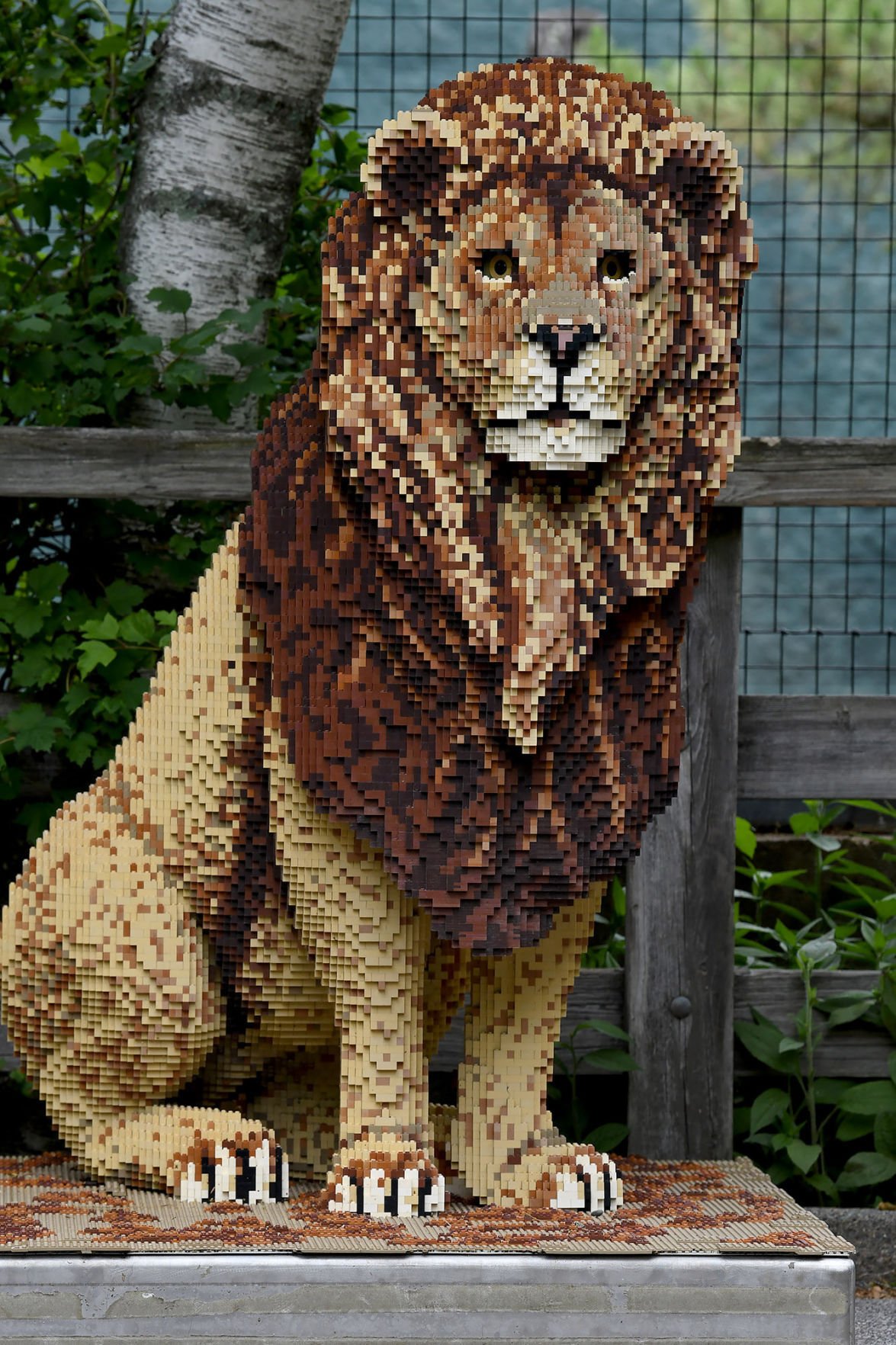 Exhibit of plastic brick animals at Capron Park Zoo in Attleboro ...