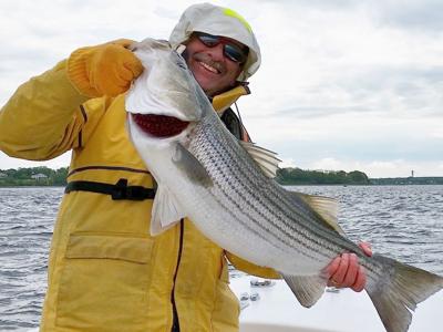Dave Monti: Top 10 ways to catch striped bass, Local Sports