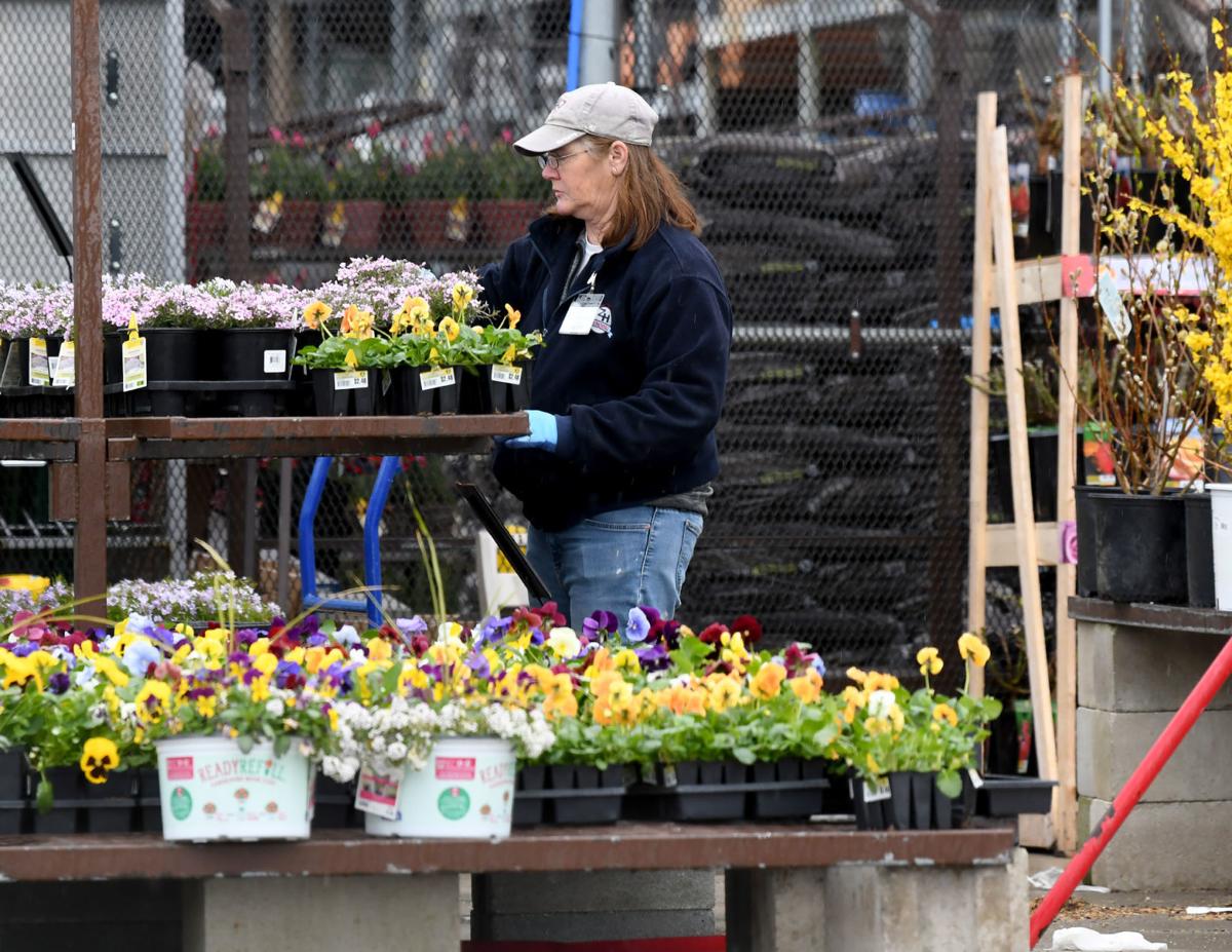 Green Thumbs Up Attleboro Area Gardeners Say Interest Is