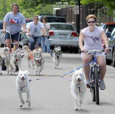 Dog Bike Leash - WalkyDog Biking Leash - That Mutt