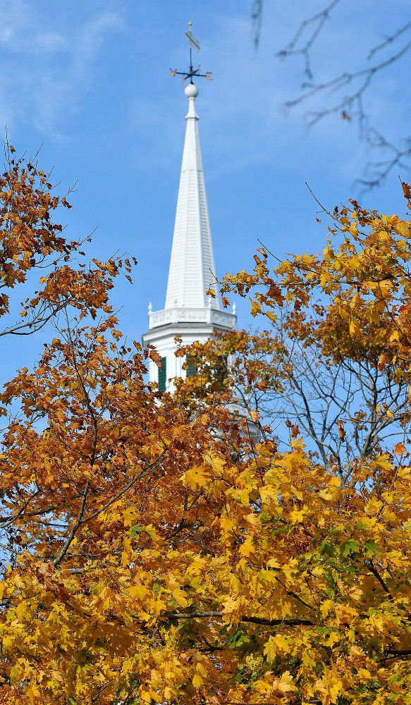 Mild days persist despite turn into November Local News