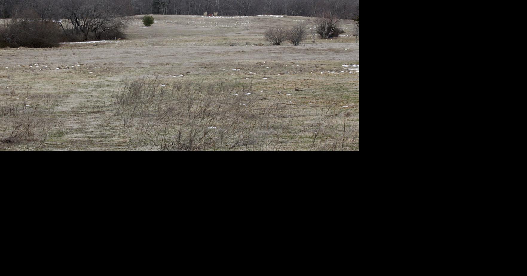 Our View Keep Locust Valley green Opinion