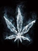 Marijuana in Smoke