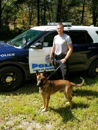 Foxboro Police Get New K 9 Unit To Take Bite Out Of Crime - 