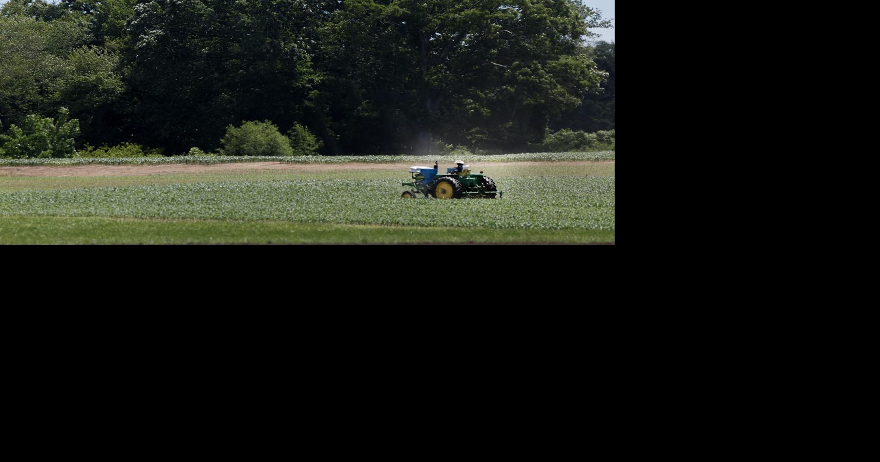 Summer finally arrives after cool spring, brutal winter