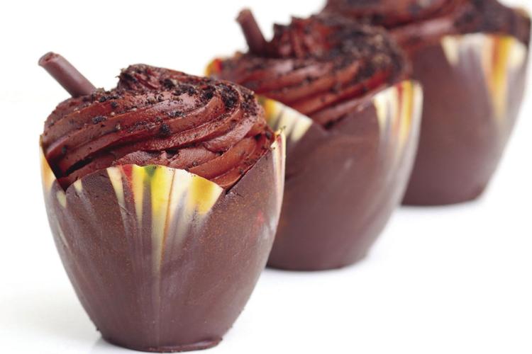 Things to do in the Foxboro area and beyond Around Town