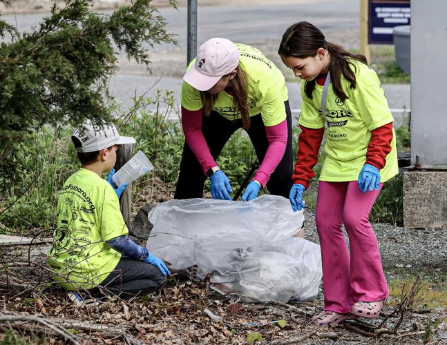 Take A Look About Spring Cleanup Near Mefeed
