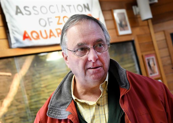 Attleboro officials working to right the fiscal ship at Capron Park Zoo