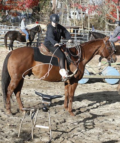 Community turns out to help family after tragic horse barn fire | Local ...