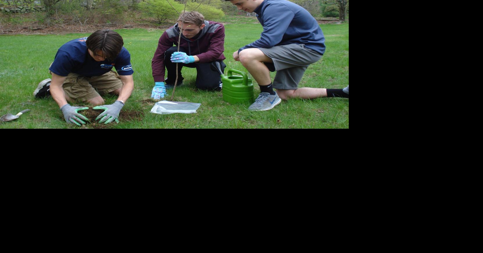 High school students, other volunteers replenish trees in Mansfield ...
