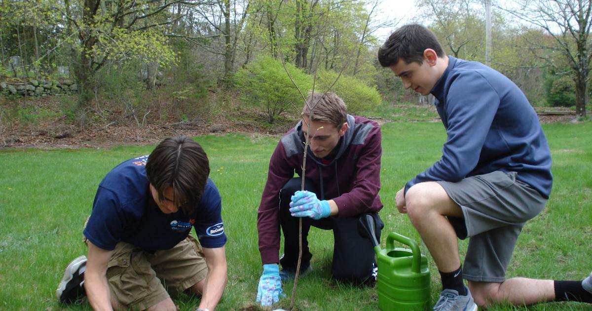 High school students, other volunteers replenish trees in Mansfield ...