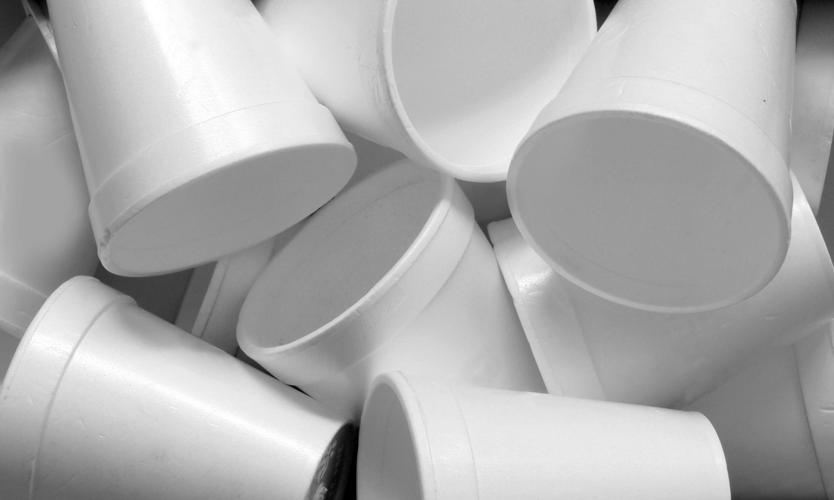 Everything you need to know about Styrofoam & plastic bans - The Restaurant  Store