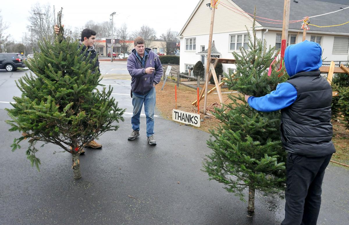 Christmas Tree Shop North Attleboro Ma : Christmas Trees In Abington