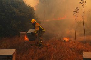 UN, scientists warn that strong El Nino will add fuel to 'a planet already on fire'