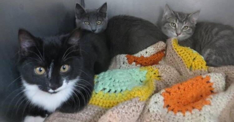 Ellie and Cleo Ellie and Cleo