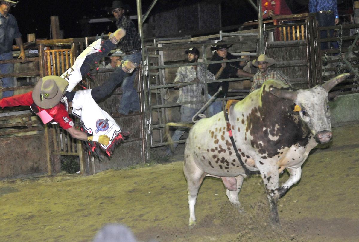 New England Rodeo in Norton draws protesters but also fans Local