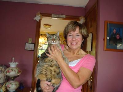 Faber North Woman S Patience With Vomiting Cat Pays Off Pet Day