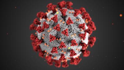 coronavirus graphic from CDC (copy)
