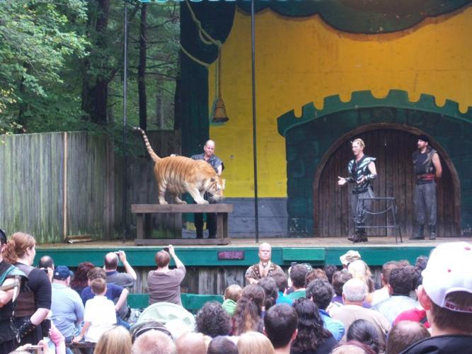 Surely, you joust | Go | thesunchronicle.com