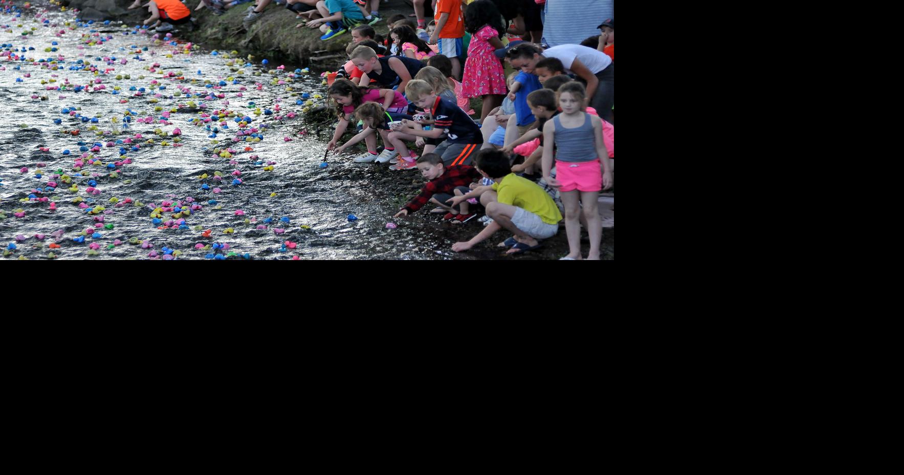 Mansfield's Great Duck Race Local News