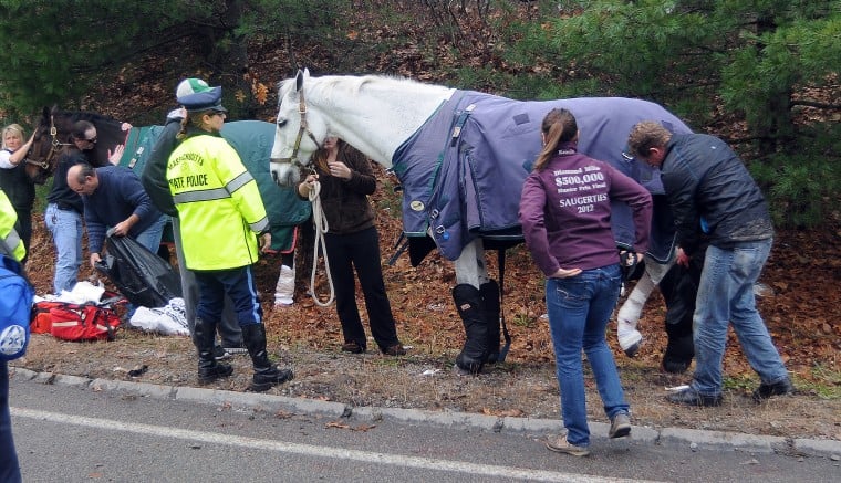 Two horses injured in Wrentham accident | Local News | thesunchronicle.com