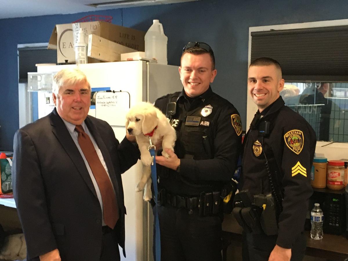 Norfolk Da Gives Wrentham Police Community Resource Dog Local News Thesunchronicle Com Norfolk Da Gives Wrentham Police Community Resource Dog Local News Thesunchronicle Com