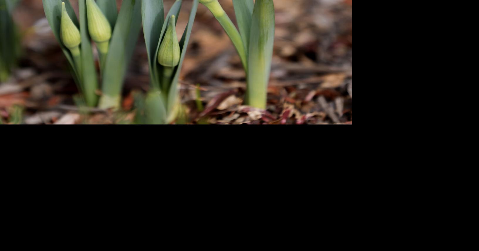 Spring wetland hike in Attleboro set for April 30