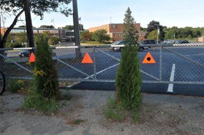 Harvard St Shrubs GN