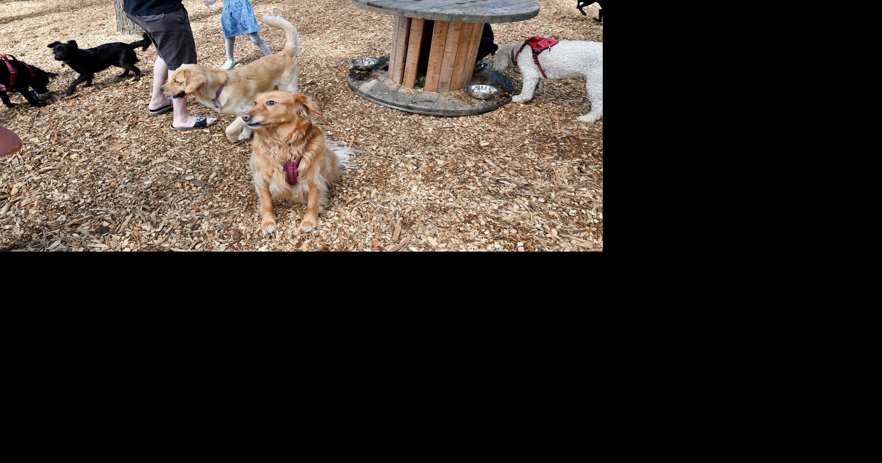 North Attleboro's new dog park, walking trails a treat for all Local