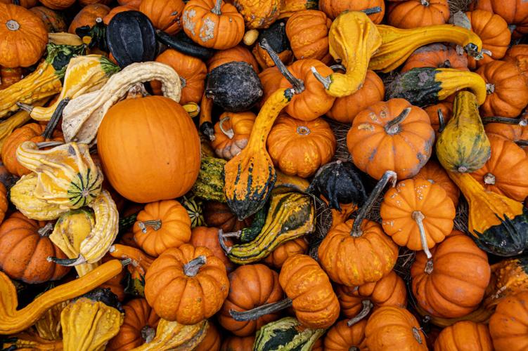 Halloween events this weekend and next in Attleboro area Local News