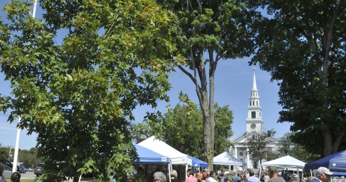 Smalltown revelry marks annual Wrentham Day celebration Local News