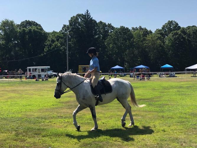 Rehoboth Breed Expo in Attleboro showcases admiration of horses Local News