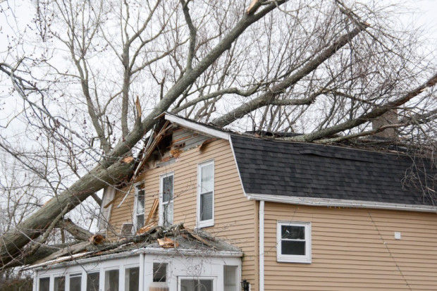 Tree falls on South Attleboro house | Local News | thesunchronicle.com