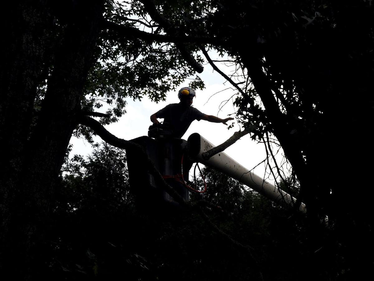 Storm Aftermath Keeps Tree Workers Utility Services Busy In The Attleboro Area Local News Thesunchronicle Com