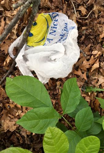 Paper or plastic? Councilman wants plastic leaf bag ban reversed