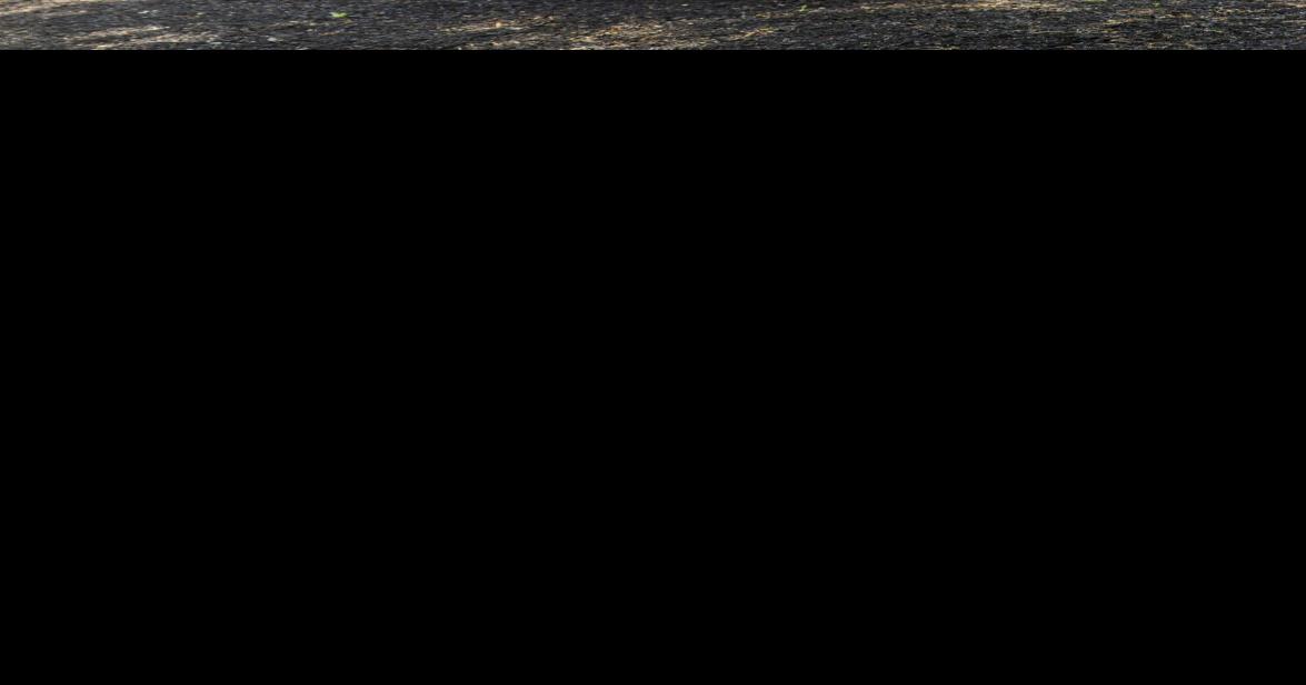 Attleboro's Bliss Creamery teams with collaborative to offer new line