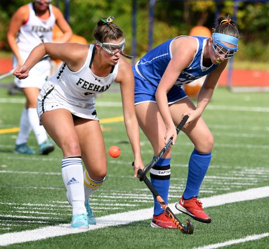 . FIELD HOCKEY: Time to get MIAA postseason party started for area  hopefuls | Local Sports 