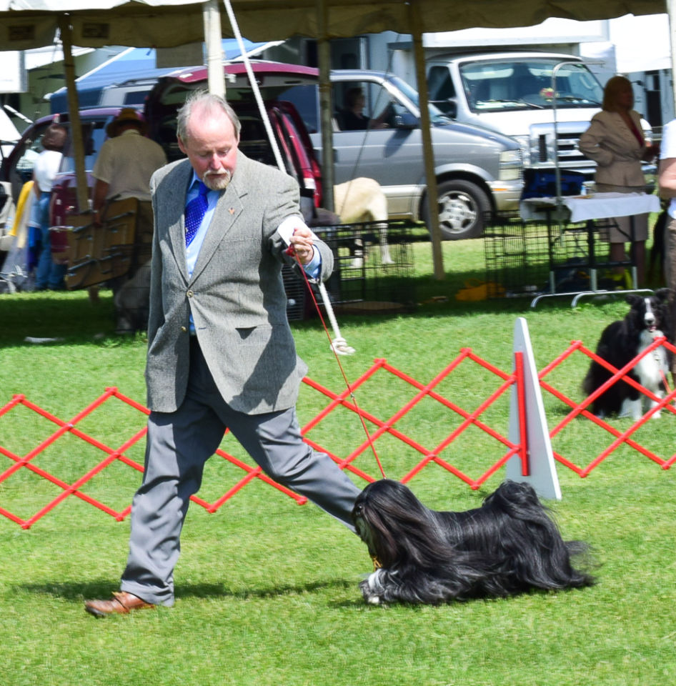 Wrentham Dog Show Staff