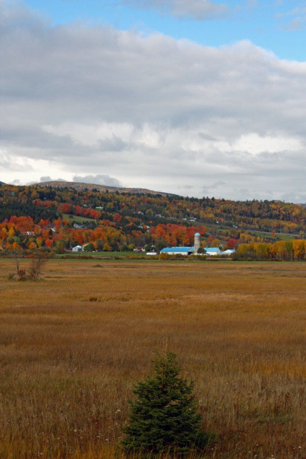 Scenic and savory: A visit to Quebec's Charlevoix region is a delight ...