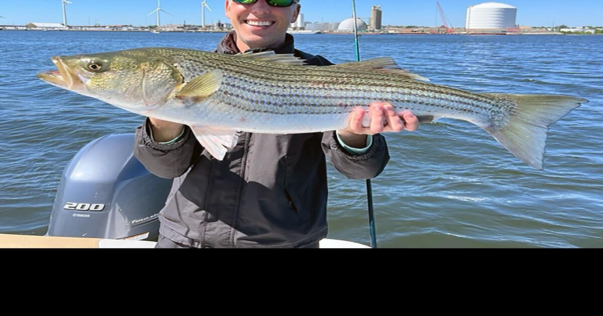 5 Pieces of Gear You Need to Catch Stripers on the Fly - Flylords Mag