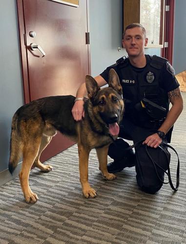 Foxboro police dog (copy)